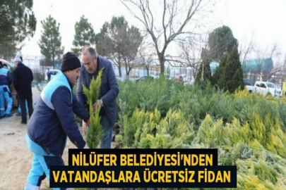 NİLÜFER BELEDİYESİ’NDEN VATANDAŞLARA ÜCRETSİZ FİDAN