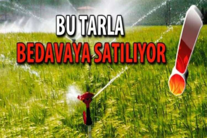 Kaçırılmayacak fırsata tarla!