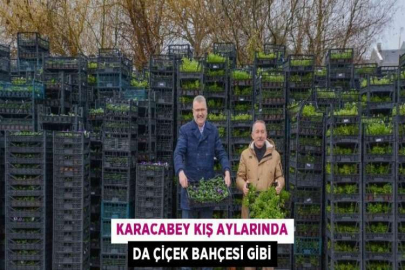 KARACABEY KIŞ AYLARINDA DA ÇİÇEK BAHÇESİ GİBİ