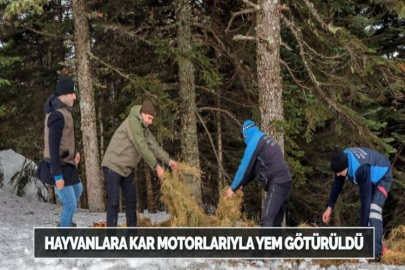 HAYVANLARA KAR MOTORLARIYLA YEM GÖTÜRÜLDÜ