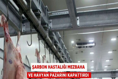 ŞARBON HASTALIĞI MEZBAHA VE HAVYAN PAZARINI KAPATTIRDI