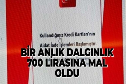 BİR ANLIK DALGINLIK 700 LİRASINA MAL OLDU