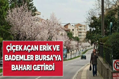 ÇİÇEK AÇAN ERİK VE BADEMLER BURSA’YA BAHARI GETİRDİ