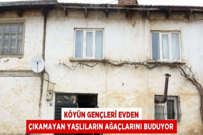 KÖYÜN GENÇLERİ EVDEN ÇIKAMAYAN YAŞLILARIN AĞAÇLARINI BUDUYOR