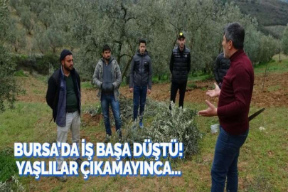 BURSA'DA İŞ BAŞA DÜŞTÜ! YAŞLILAR ÇIKAMAYINCA...