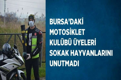 BURSA’DAKİ MOTOSİKLET KULÜBÜ ÜYELERİ SOKAK HAYVANLARINI UNUTMADI