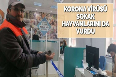 KORONA VİRÜSÜ SOKAK HAYVANLARINI DA VURDU