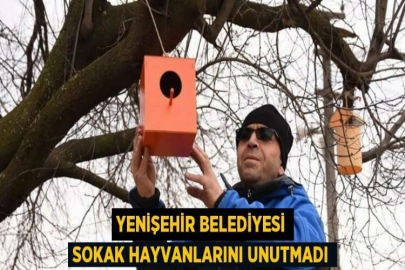 YENİŞEHİR BELEDİYESİ SOKAK HAYVANLARINI UNUTMADI