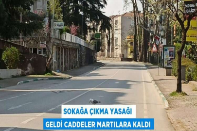 SOKAĞA ÇIKMA YASAĞI GELDİ CADDELER MARTILARA KALDI