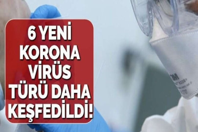 6 YENİ KORONA VİRÜS TÜRÜ DAHA KEŞFEDİLDİ!