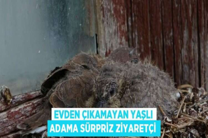 EVDEN ÇIKAMAYAN YAŞLI ADAMA SÜRPRİZ ZİYARETÇİ