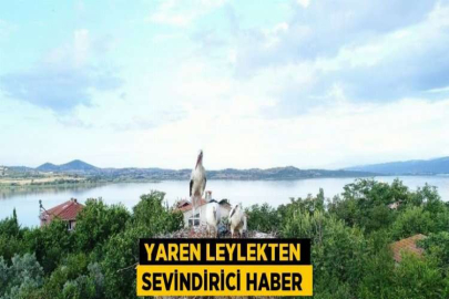 YAREN LEYLEKTEN SEVİNDİRİCİ HABER