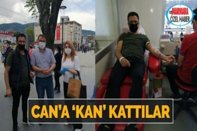 CAN’A ‘KAN’ KATTILAR