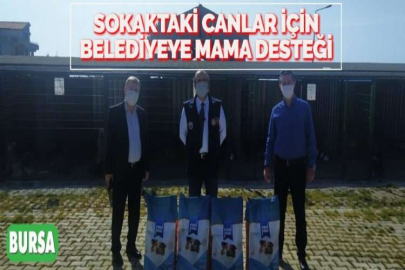 SOKAKTAKİ CANLAR İÇİN BELEDİYEYE MAMA DESTEĞİ