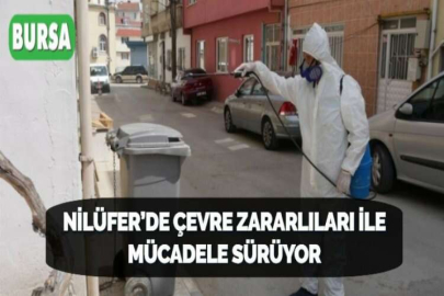 NİLÜFER’DE ÇEVRE ZARARLILARI İLE MÜCADELE SÜRÜYOR