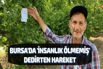 BURSA'DA 'İNSANLIK ÖLMEMİŞ' DEDİRTEN HAREKET