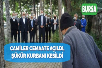 CAMİLER CEMAATE AÇILDI, ŞÜKÜR KURBANI KESİLDİ