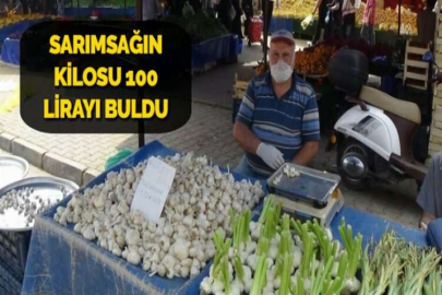 SARIMSAĞIN KİLOSU 100 LİRAYI BULDU