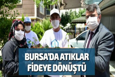 BURSA’DA ATIKLAR FİDEYE DÖNÜŞTÜ