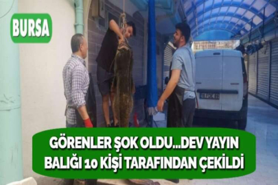 GÖRENLER ŞOK OLDU...DEV YAYIN BALIĞI 10 KİŞİ TARAFINDAN ÇEKİLDİ