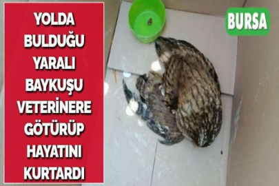 YOLDA BULDUĞU YARALI BAYKUŞU VETERİNERE GÖTÜRÜP HAYATINI KURTARDI