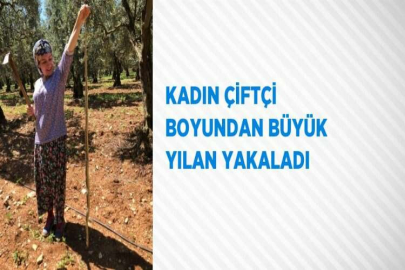 KADIN ÇİFTÇİ BOYUNDAN BÜYÜK YILAN YAKALADI