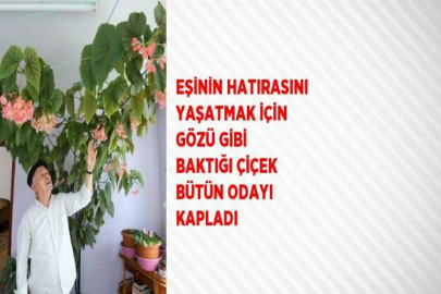 EŞİNİN HATIRASINI YAŞATMAK İÇİN GÖZÜ GİBİ BAKTIĞI ÇİÇEK BÜTÜN ODAYI KAPLADI