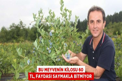 BU MEYVENİN KİLOSU 60 TL, FAYDASI SAYMAKLA BİTMİYOR