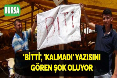 'BİTTİ', 'KALMADI' YAZISINI GÖREN ŞOK OLUYOR