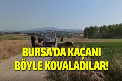 BURSA’DA KAÇANI BÖYLE KOVALADILAR!