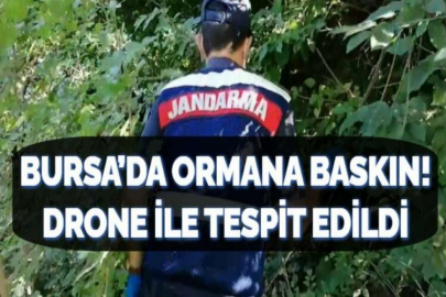 BURSA’DA ORMANA BASKIN!DRONE İLE TESPİT EDİLDİ