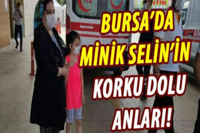 Akrep sokan küçük Selin, tedaviye alındı