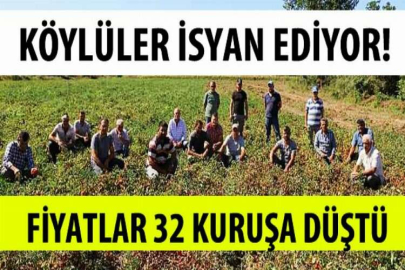 Köylüler isyan ediyor!