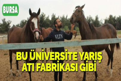 BU ÜNİVERSİTE YARIŞ ATI FABRİKASI GİBİ