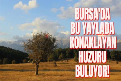 BURSA'DA BU YAYLADA KONAKLAYAN HUZURU BULUYOR!