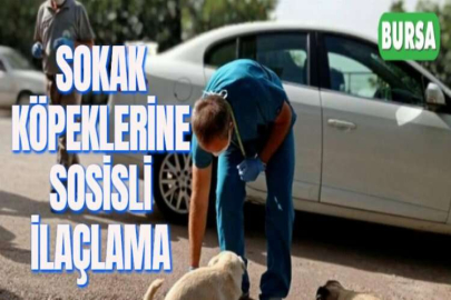 SOKAK KÖPEKLERİNE SOSİSLİ İLAÇLAMA