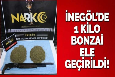 İNEGÖL’DE 1 KİLO BONZAİ ELE GEÇİRİLDİ!