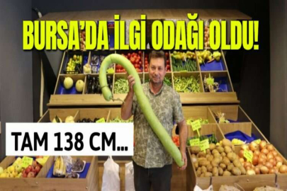 BURSA’DA İLGİ ODAĞI OLDU!