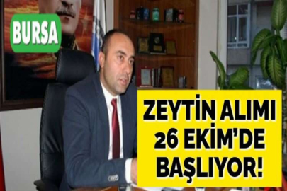 ZEYTİN ALIMI 26 EKİM’DE BAŞLIYOR!