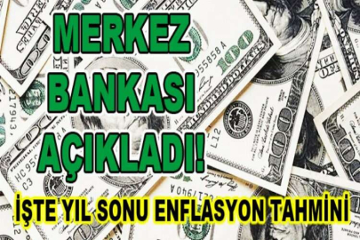 Merkez Bankası enflasyon tahminini yüzde 12,1'e yükseltti