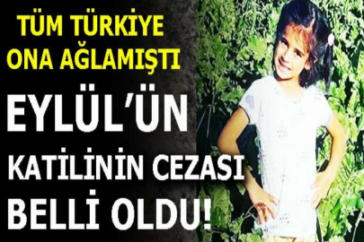 Tüm Türkiye'nin yüreği yanmıştı... O katilin cezası belli oldu