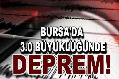 Bursa'da 3.0 büyüklüğünde bir deprem meydana geldi