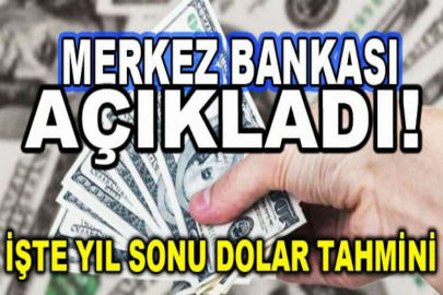 Merkez Bankası açıkladı! İşte yıl sonu dolar tahmini