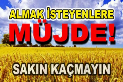 BU FİYATA BU TARLA KAÇMAZ!