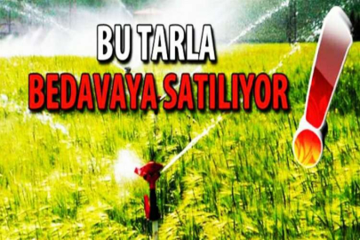 İNANILMAZ TARLA FIRSATI!