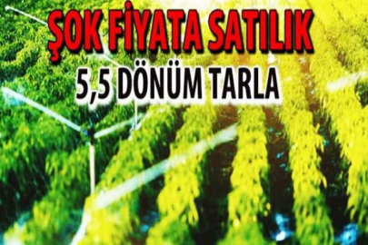 KAÇIRILMAYACAK FİYATA!