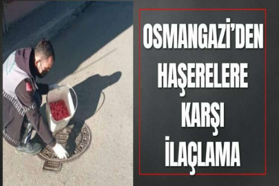 OSMANGAZİ’DEN HAŞERELERE KARŞI İLAÇLAMA