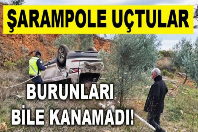 Şarampole uçtular, burunları bile kanamadı