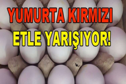 Yumurta kırmızı etle yarışıyor