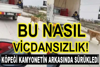 Köpeği kamyonetin arkasında sürükledi